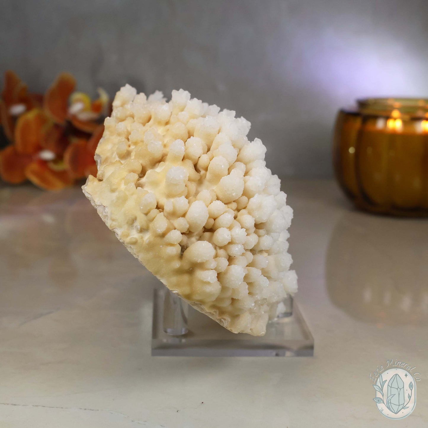 Cream Colored Calcite Cave Stalactite Specimen