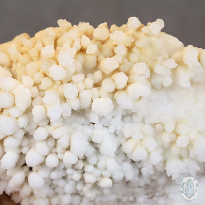 Cream Colored Calcite Cave Stalactite Specimen