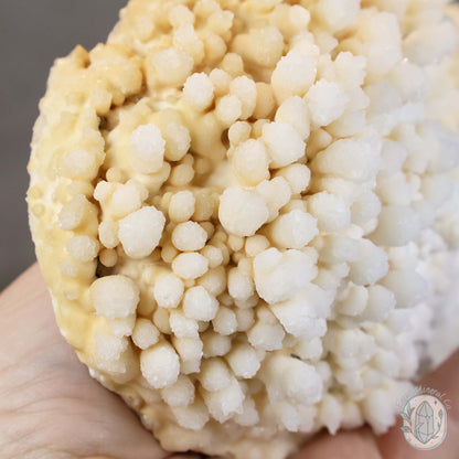 Cream Colored Calcite Cave Stalactite Specimen
