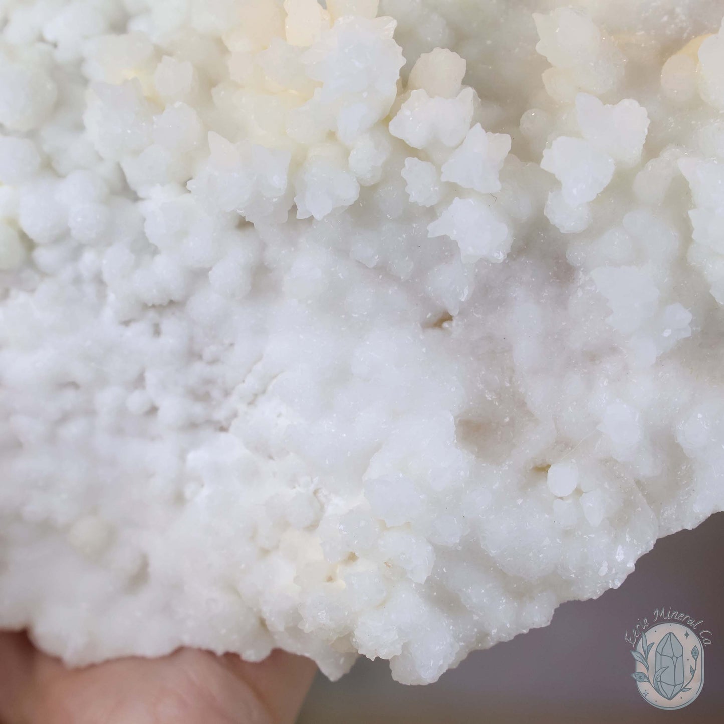 Cream Colored Calcite Cave Stalactite Specimen