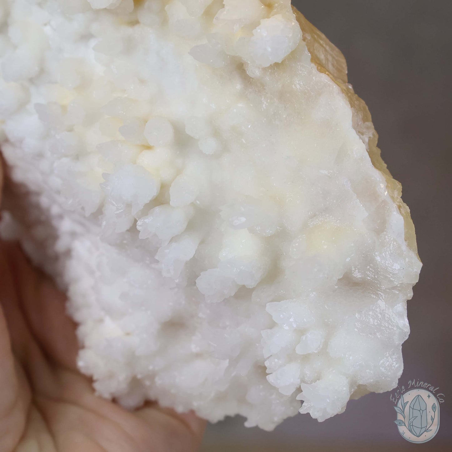 Cream Colored Calcite Cave Stalactite Specimen