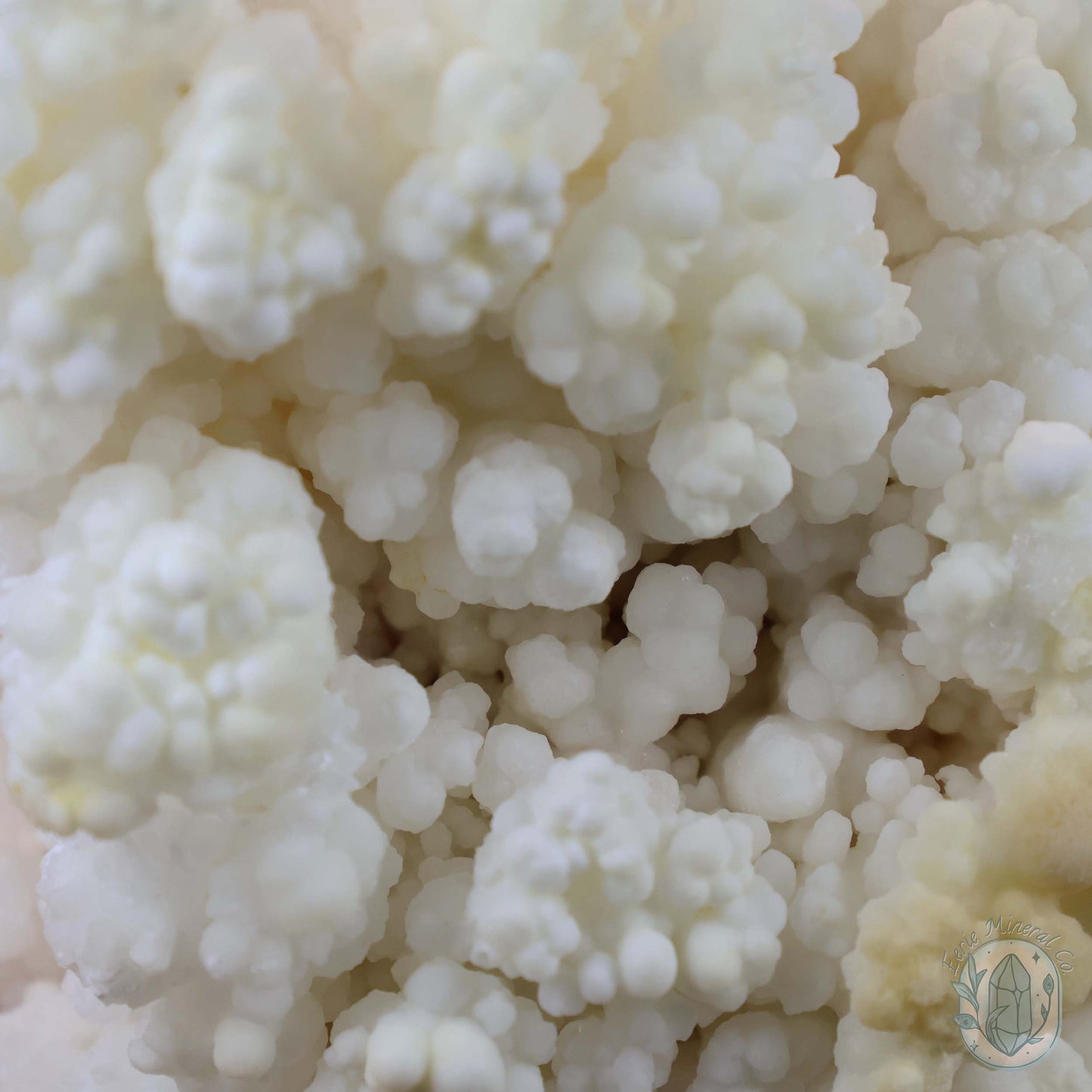 Natural Cave Calcite Stalactite Specimen