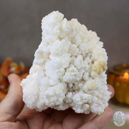 Natural Cave Calcite Stalactite Specimen