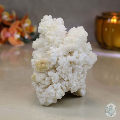Natural Cave Calcite Stalactite Specimen