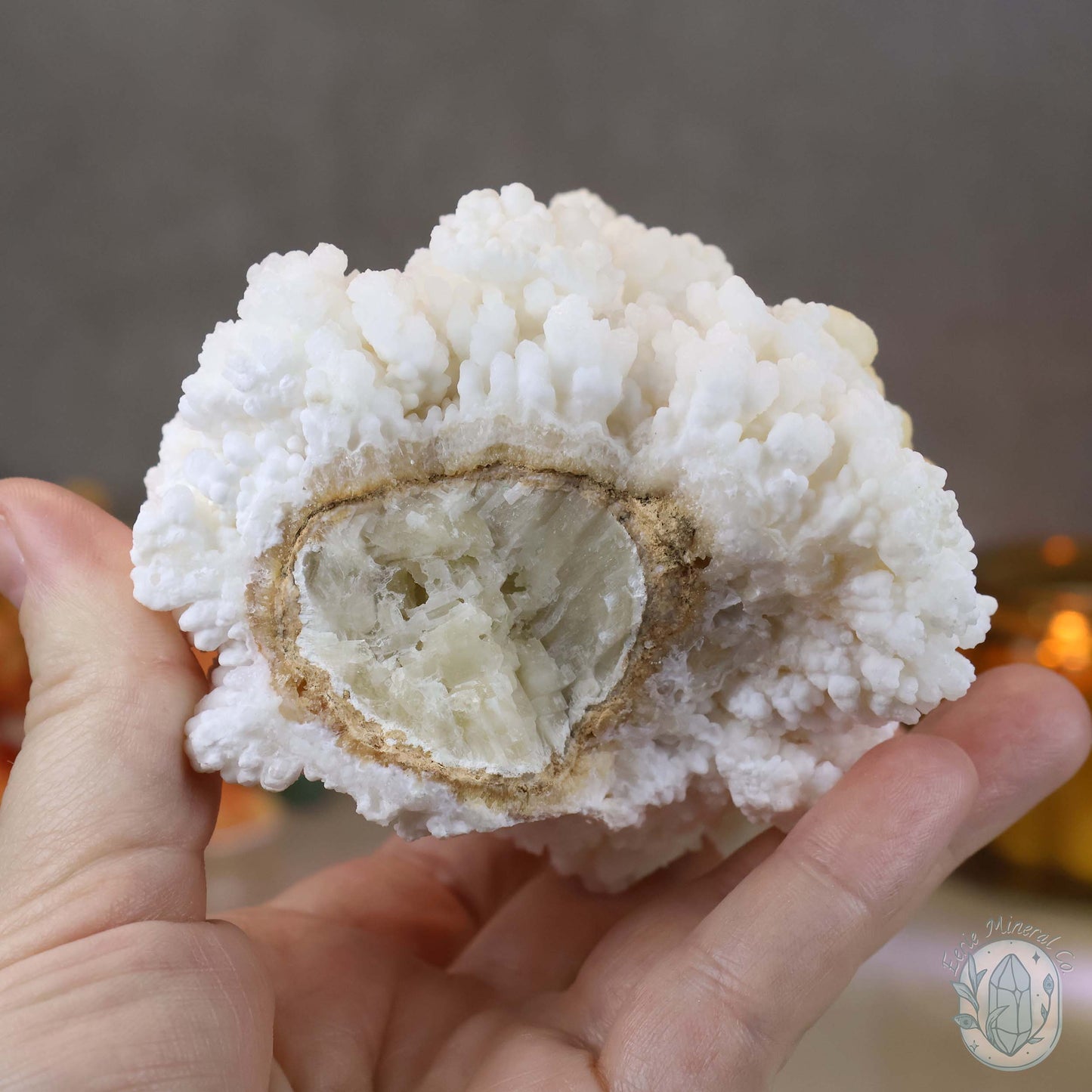 Natural Cave Calcite Stalactite Specimen