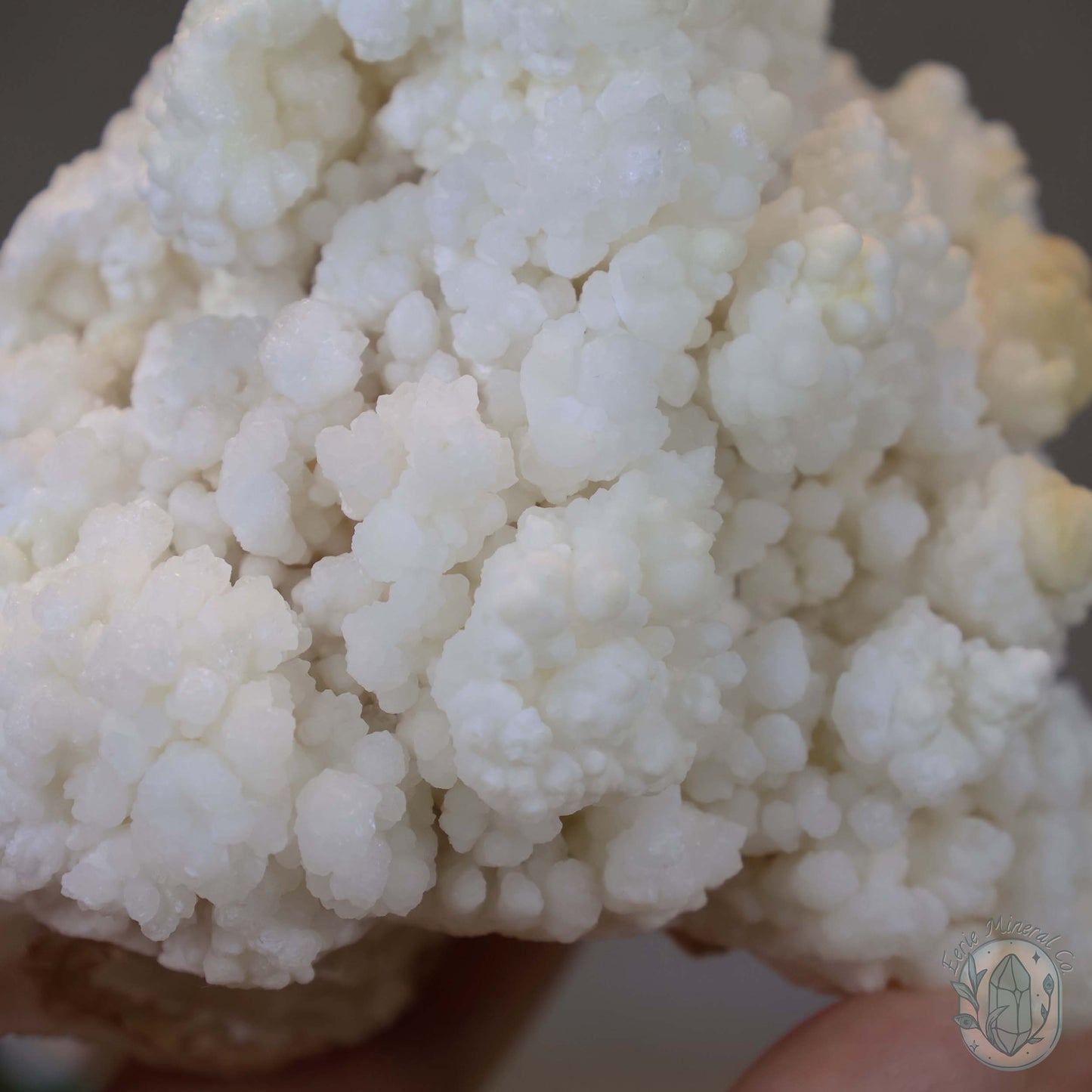 Natural Cave Calcite Stalactite Specimen