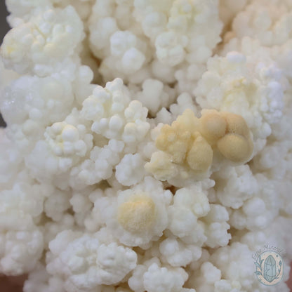 Natural Cave Calcite Stalactite Specimen