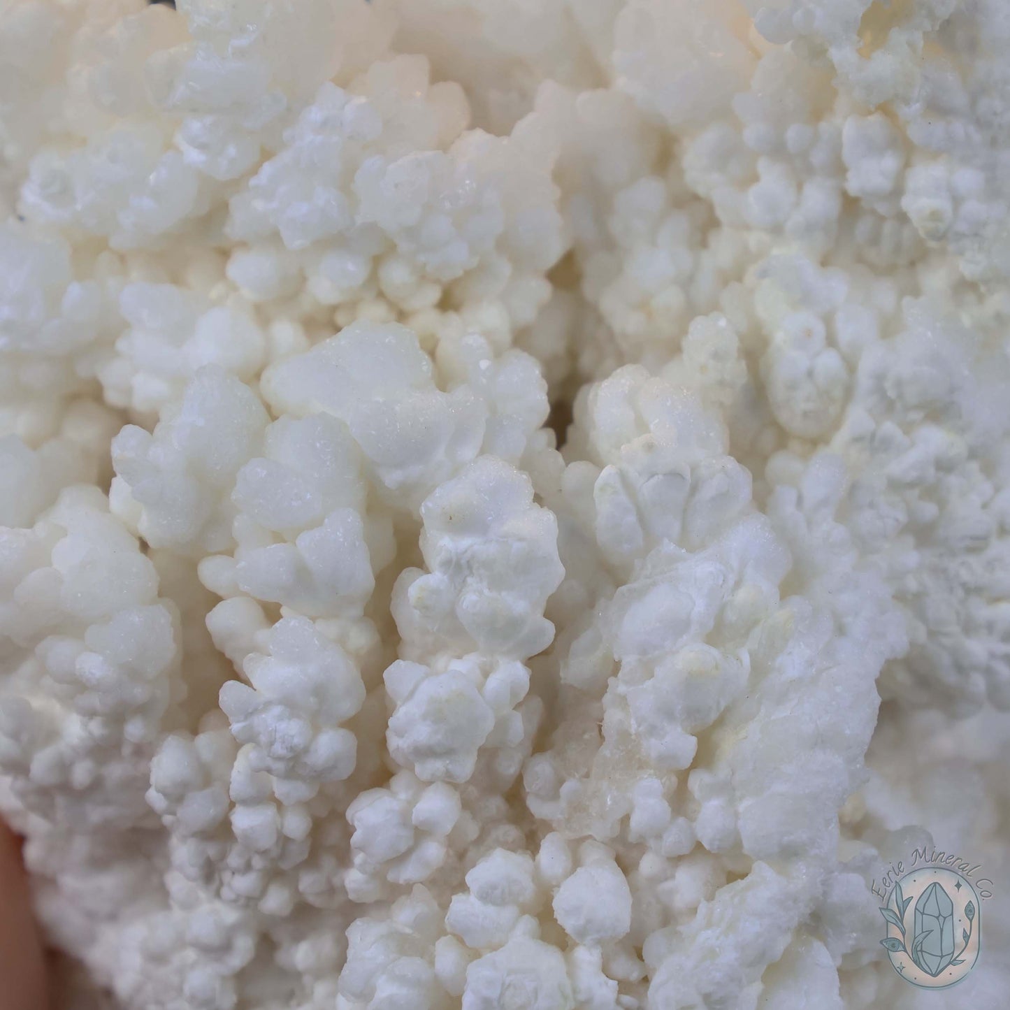 Natural Cave Calcite Stalactite Specimen