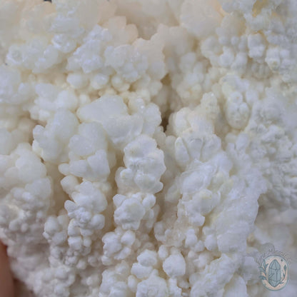 Natural Cave Calcite Stalactite Specimen