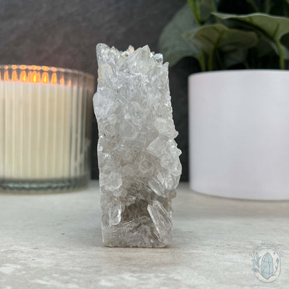 Clear Quartz Cluster Playful Monster Skull Carving