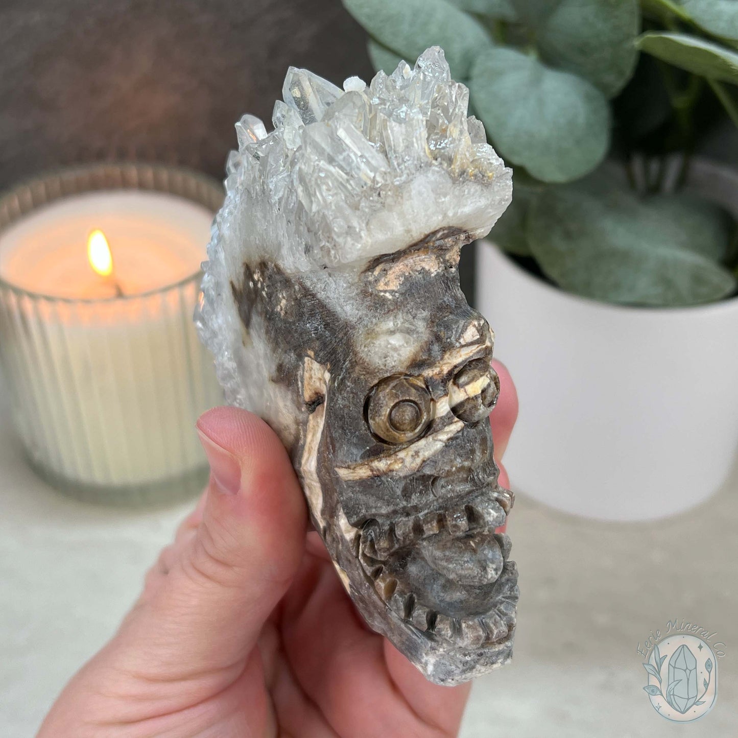 Clear Quartz Cluster Playful Monster Skull Carving