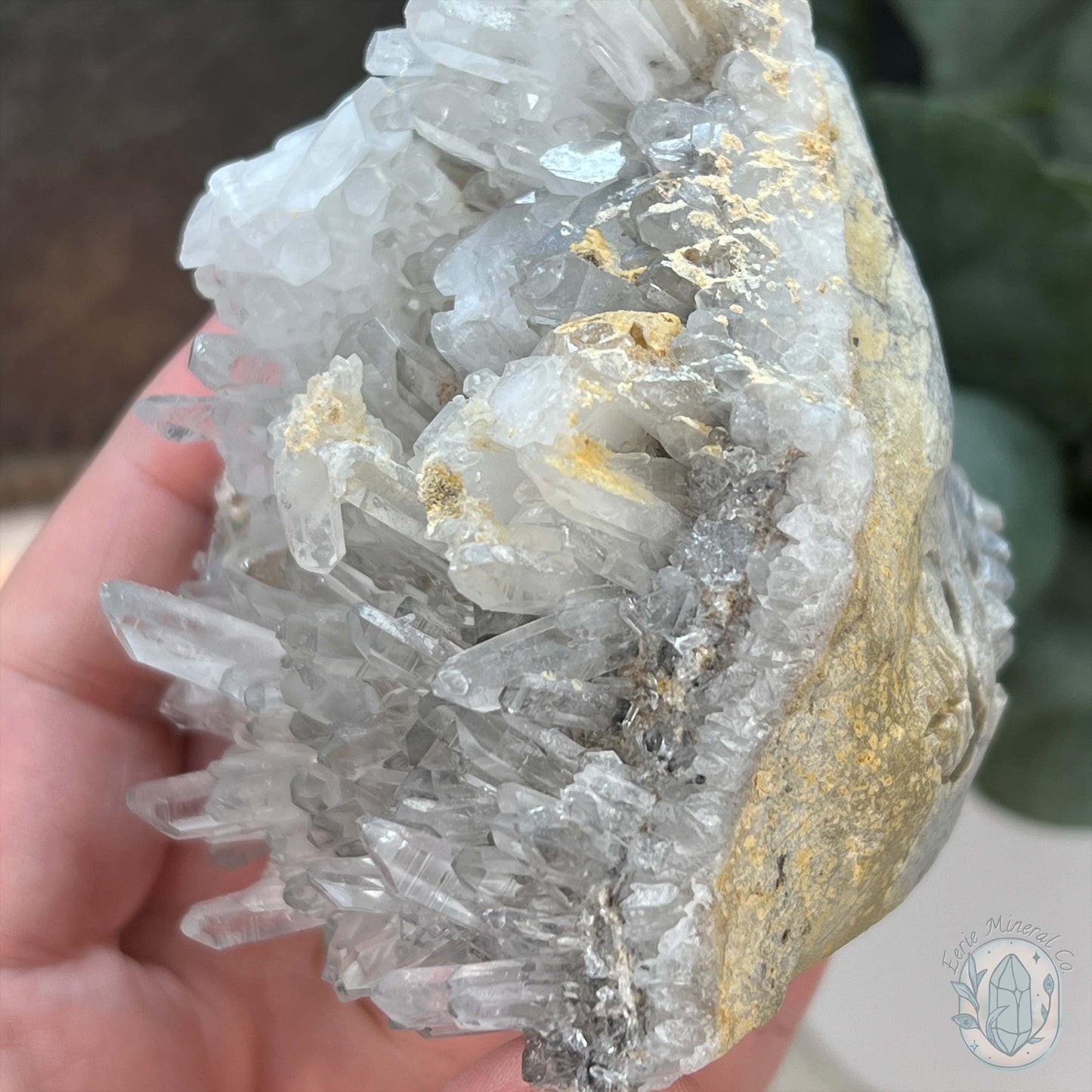 Quartz Cluster Playful Cyclops Monster Skull Carving