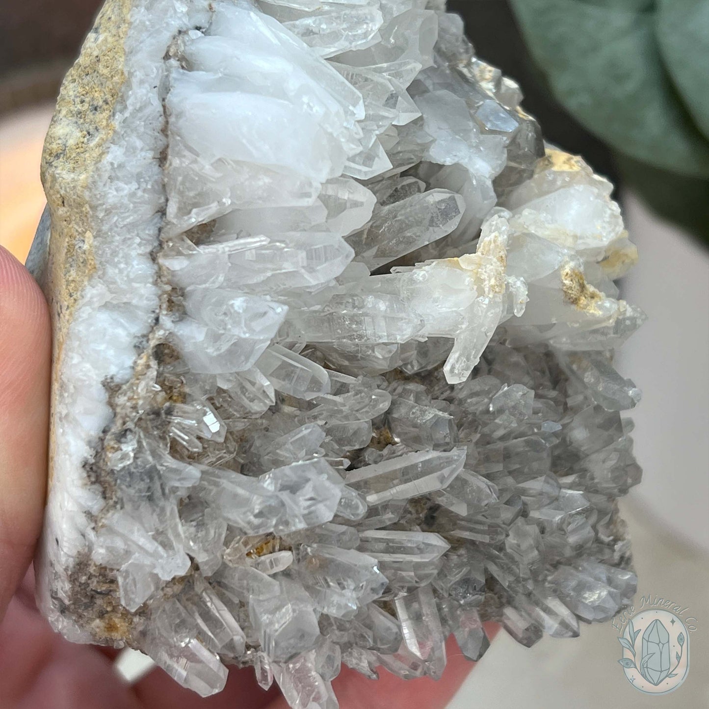 Quartz Cluster Playful Cyclops Monster Skull Carving
