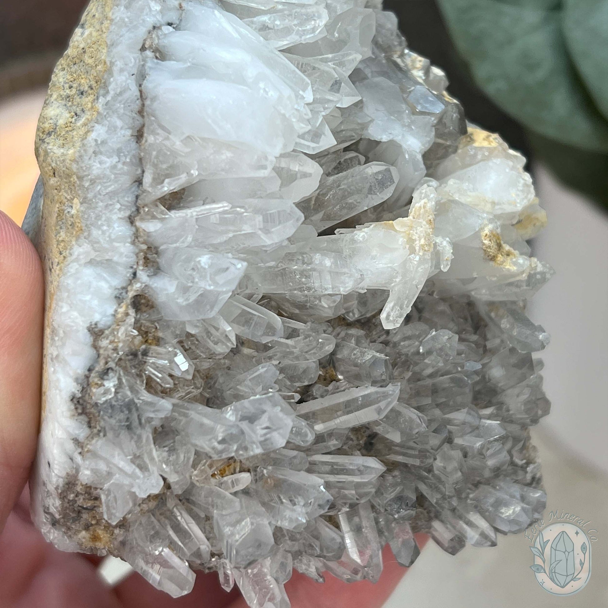 Quartz Cluster Playful Cyclops Monster Skull Carving