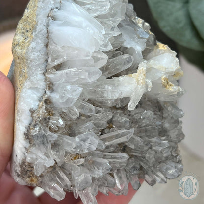 Quartz Cluster Playful Cyclops Monster Skull Carving