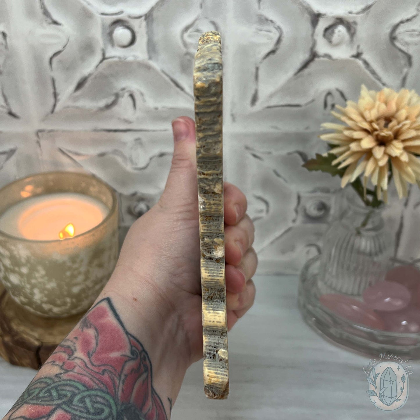 Polished Coral Jade aka Agatized Fossil Coral Slab