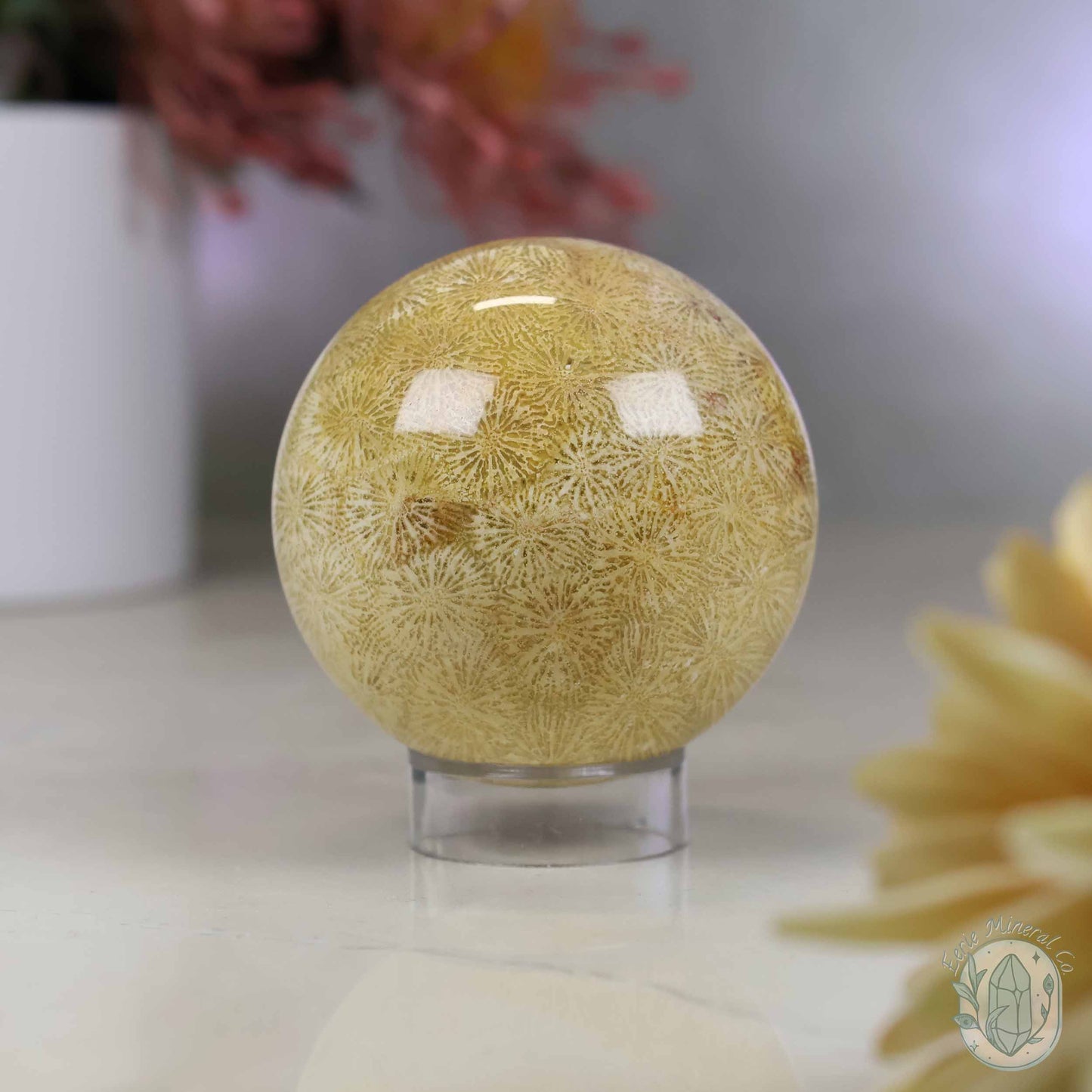 61mm Polished Agatized Coral Jade Sphere