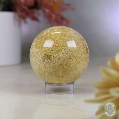 61mm Polished Agatized Coral Jade Sphere