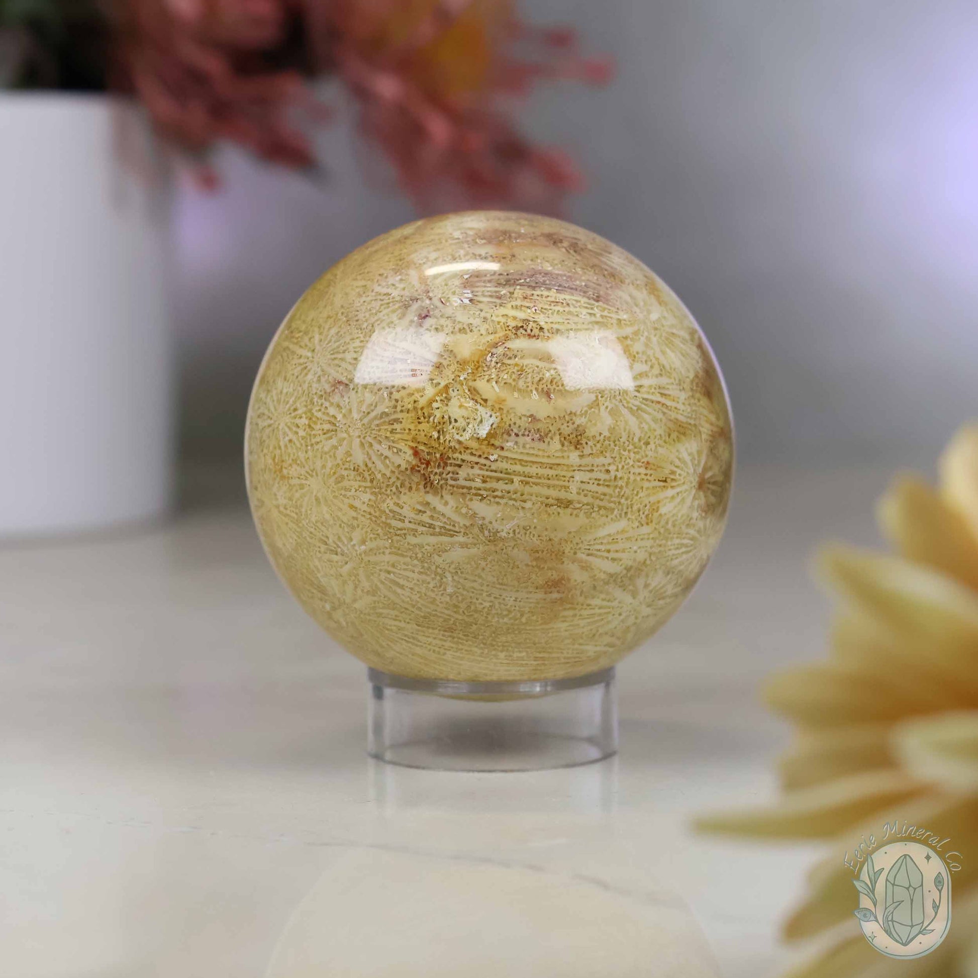 61mm Polished Agatized Coral Jade Sphere