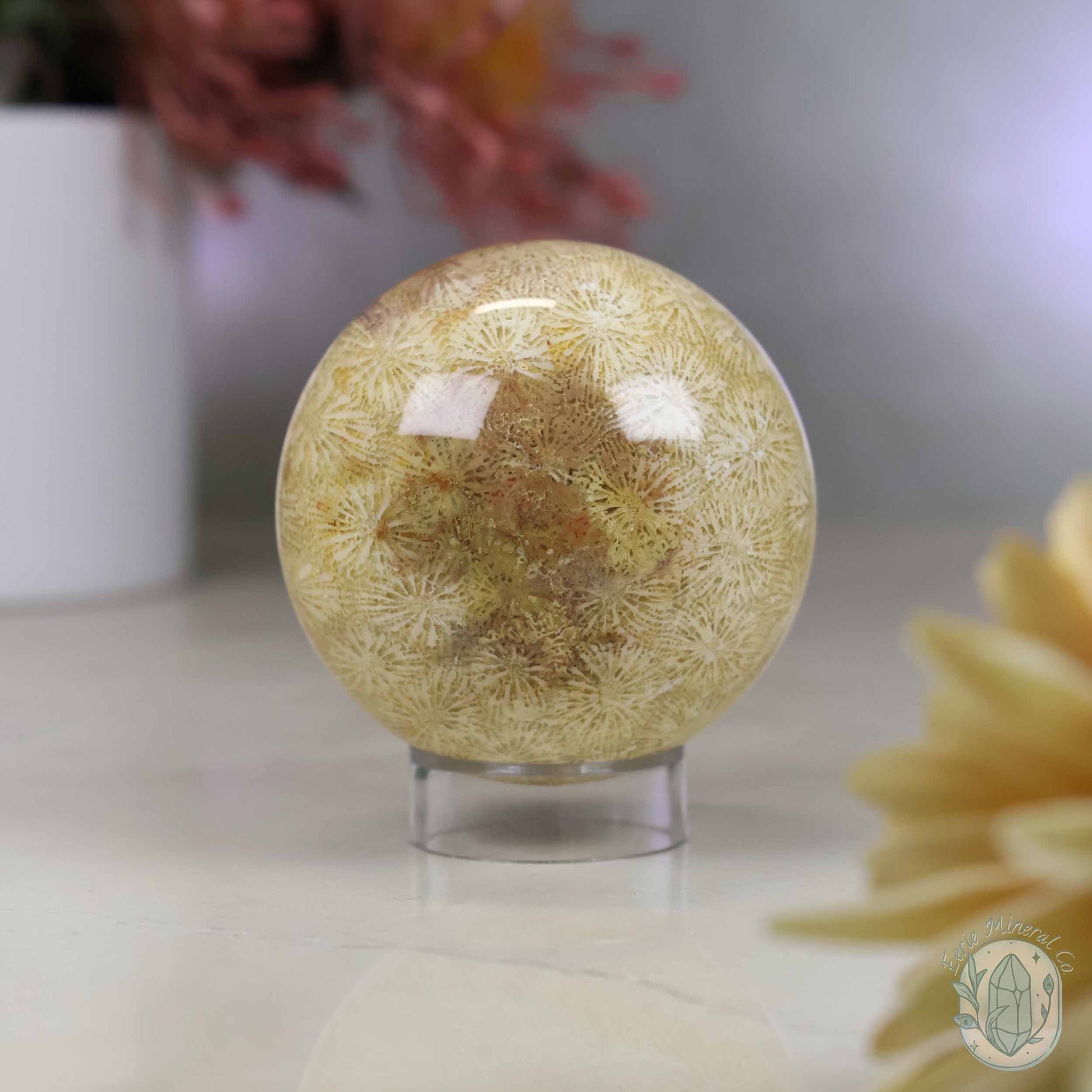 61mm Polished Agatized Coral Jade Sphere