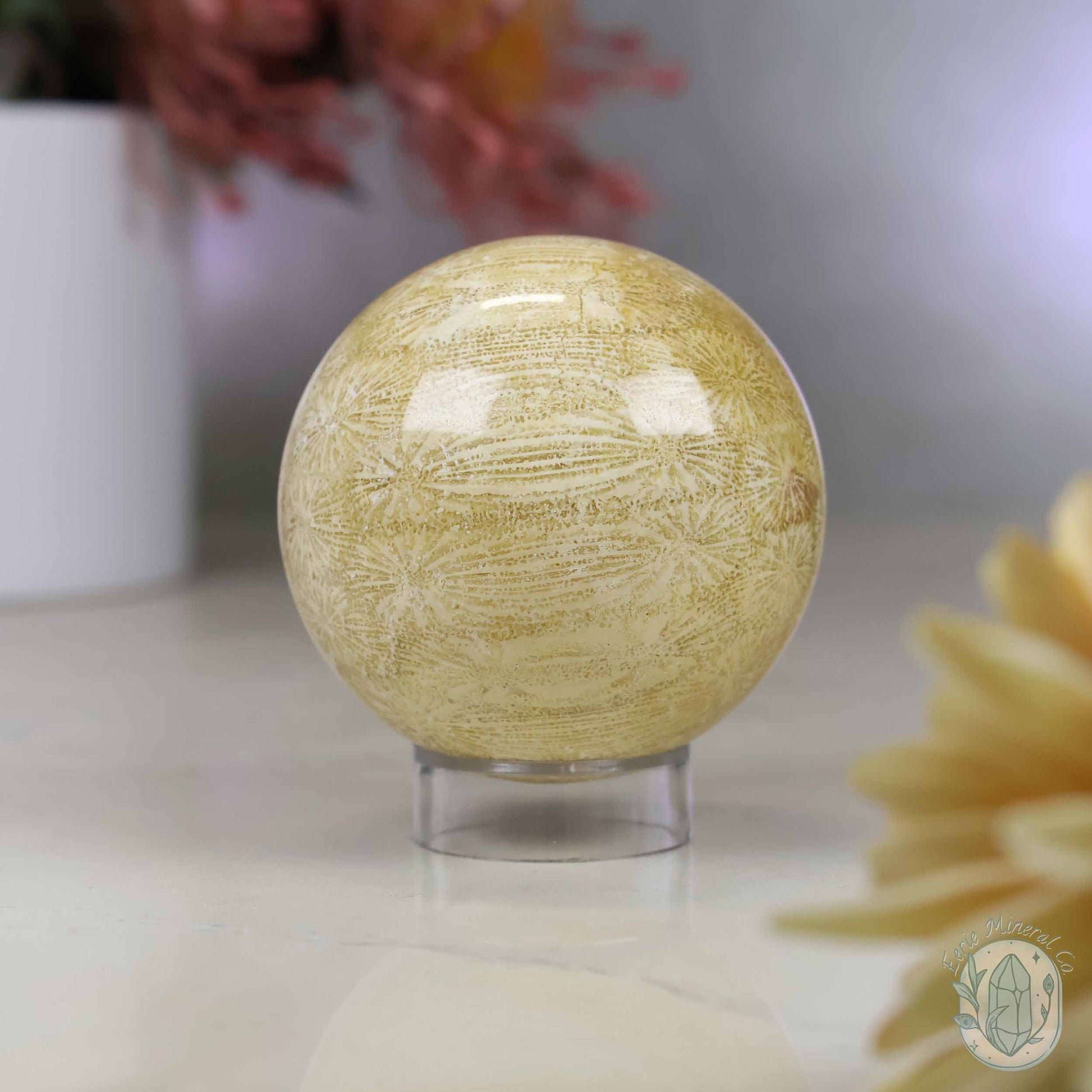 61mm Polished Agatized Coral Jade Sphere