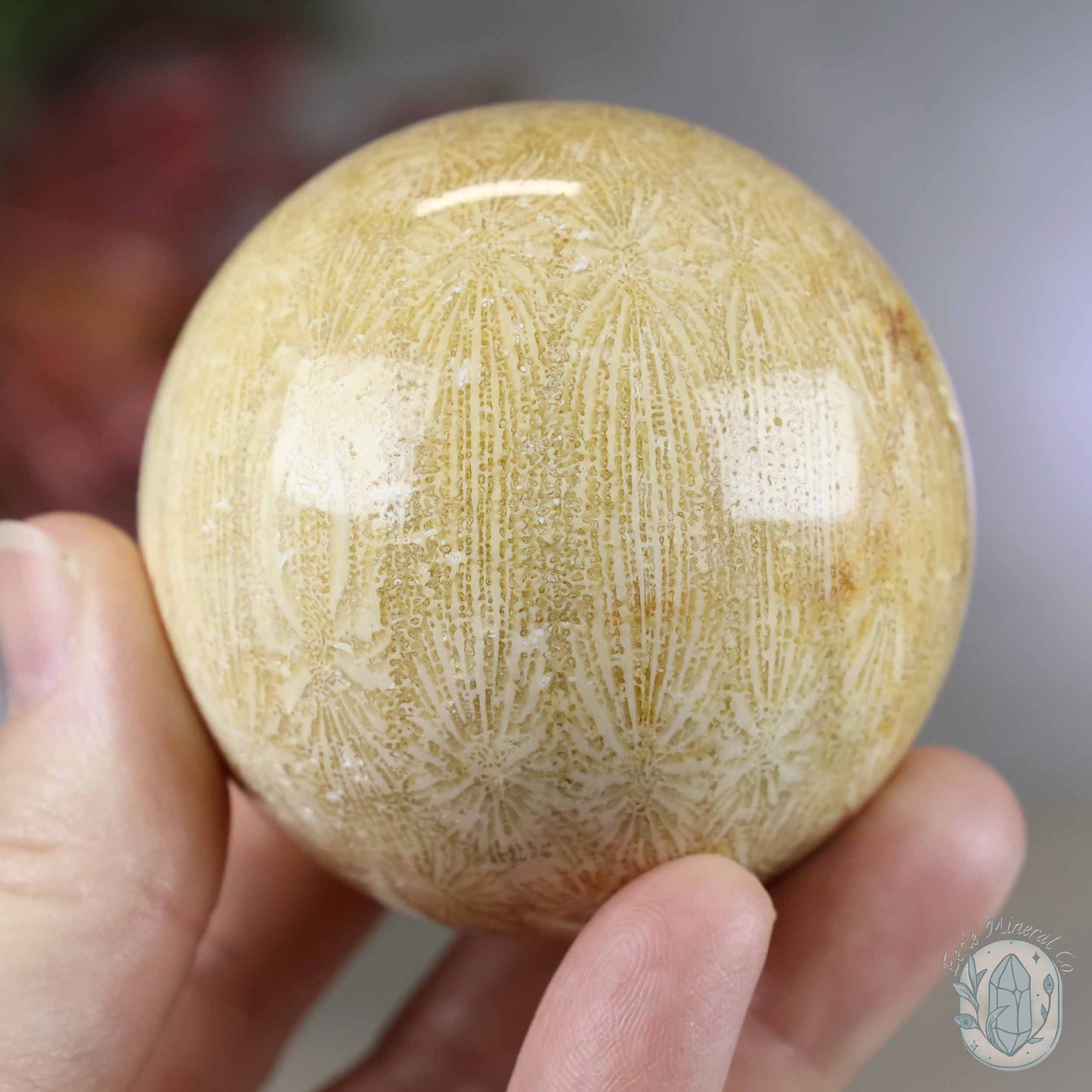 61mm Polished Agatized Coral Jade Sphere