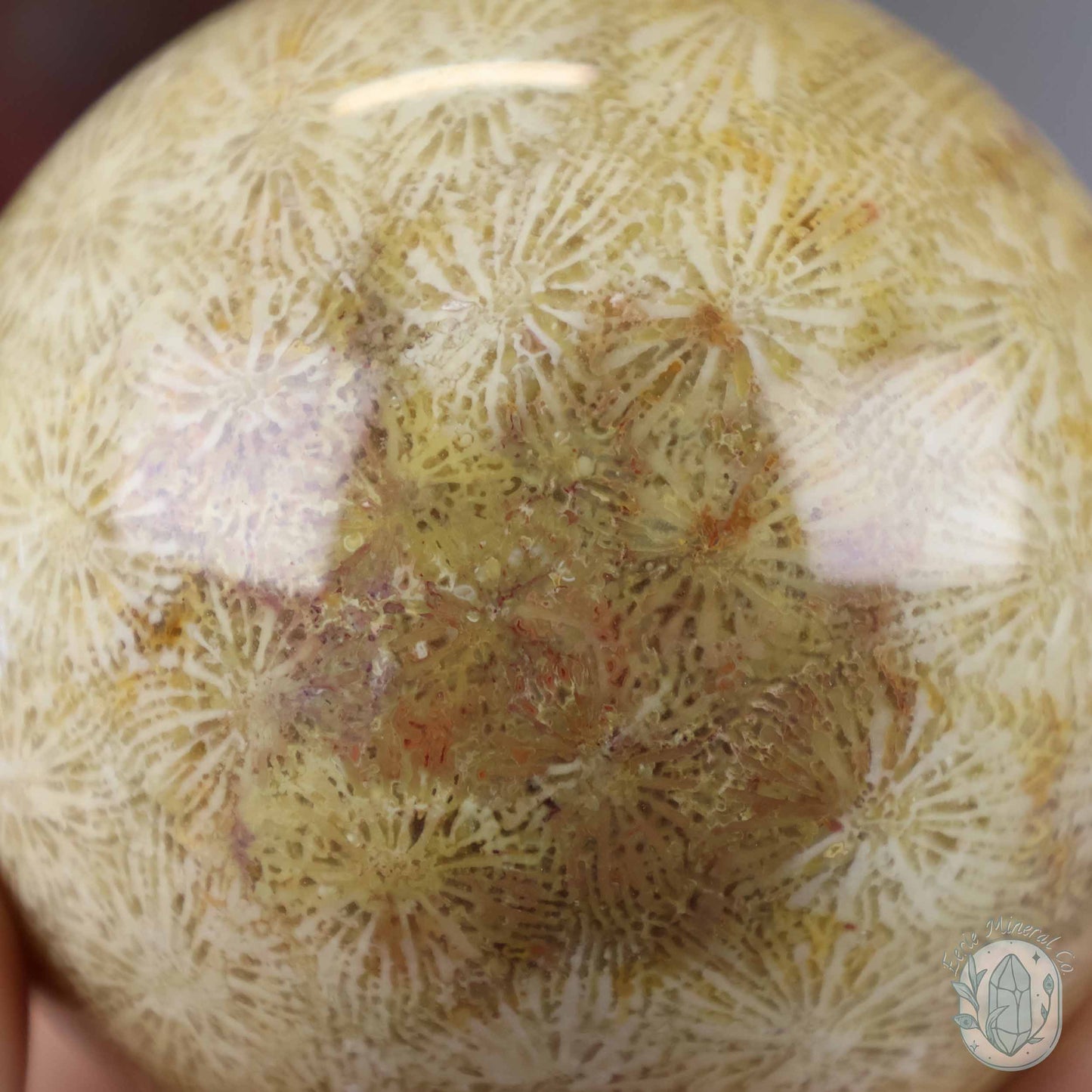 61mm Polished Agatized Coral Jade Sphere