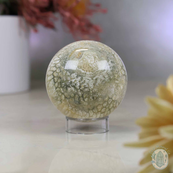 60mm Polished Fossilized Coral "Jade" Sphere