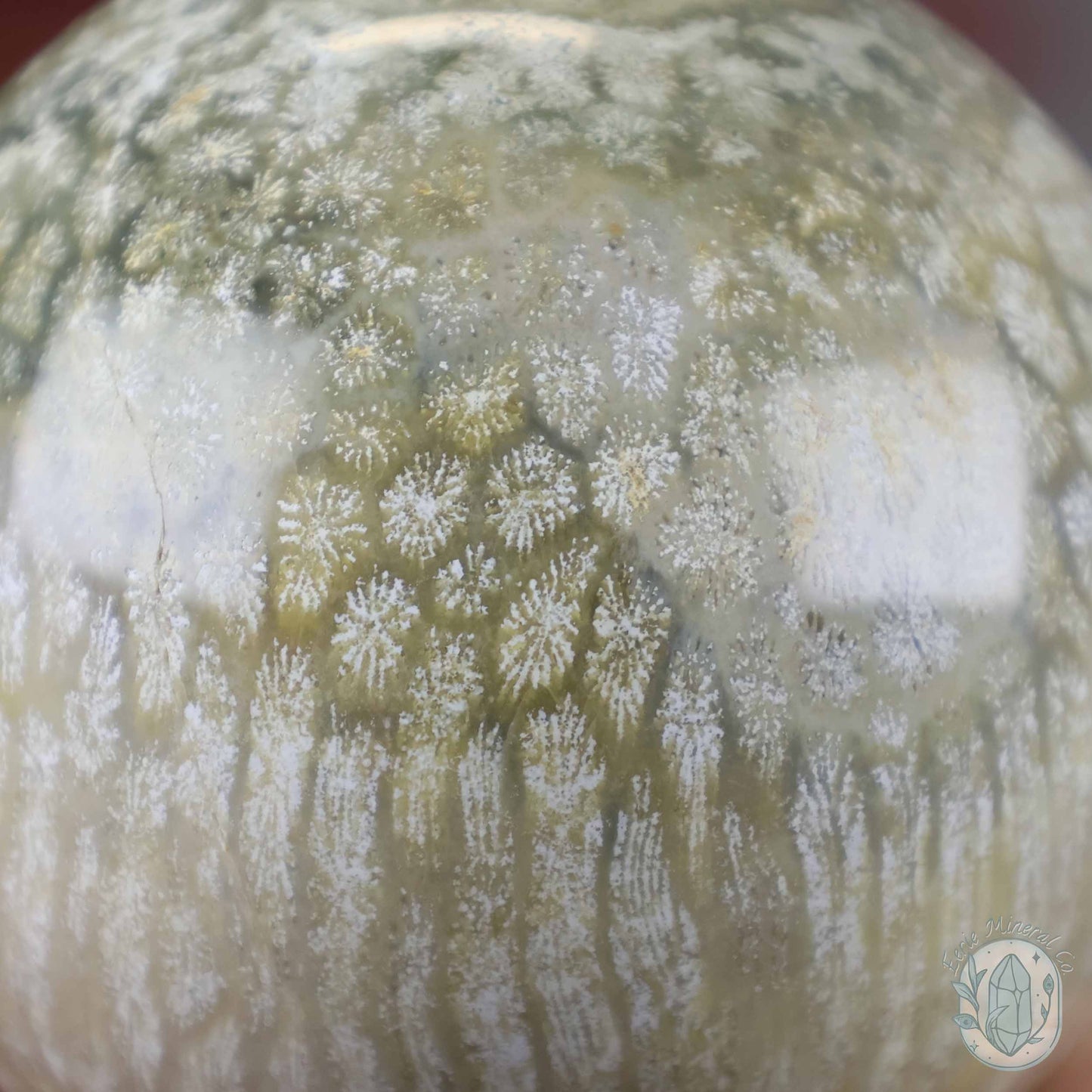 60mm Polished Fossilized Coral "Jade" Sphere
