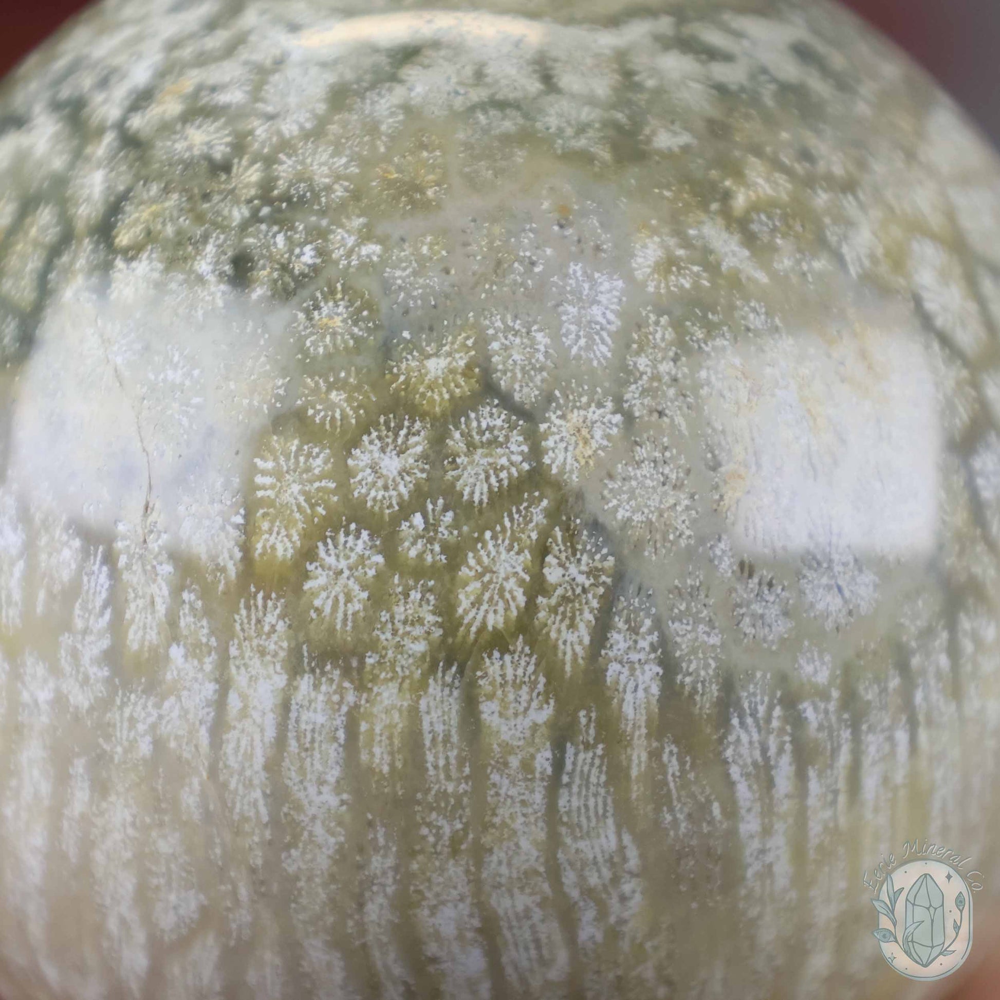 60mm Polished Fossilized Coral "Jade" Sphere
