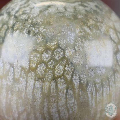 60mm Polished Fossilized Coral "Jade" Sphere
