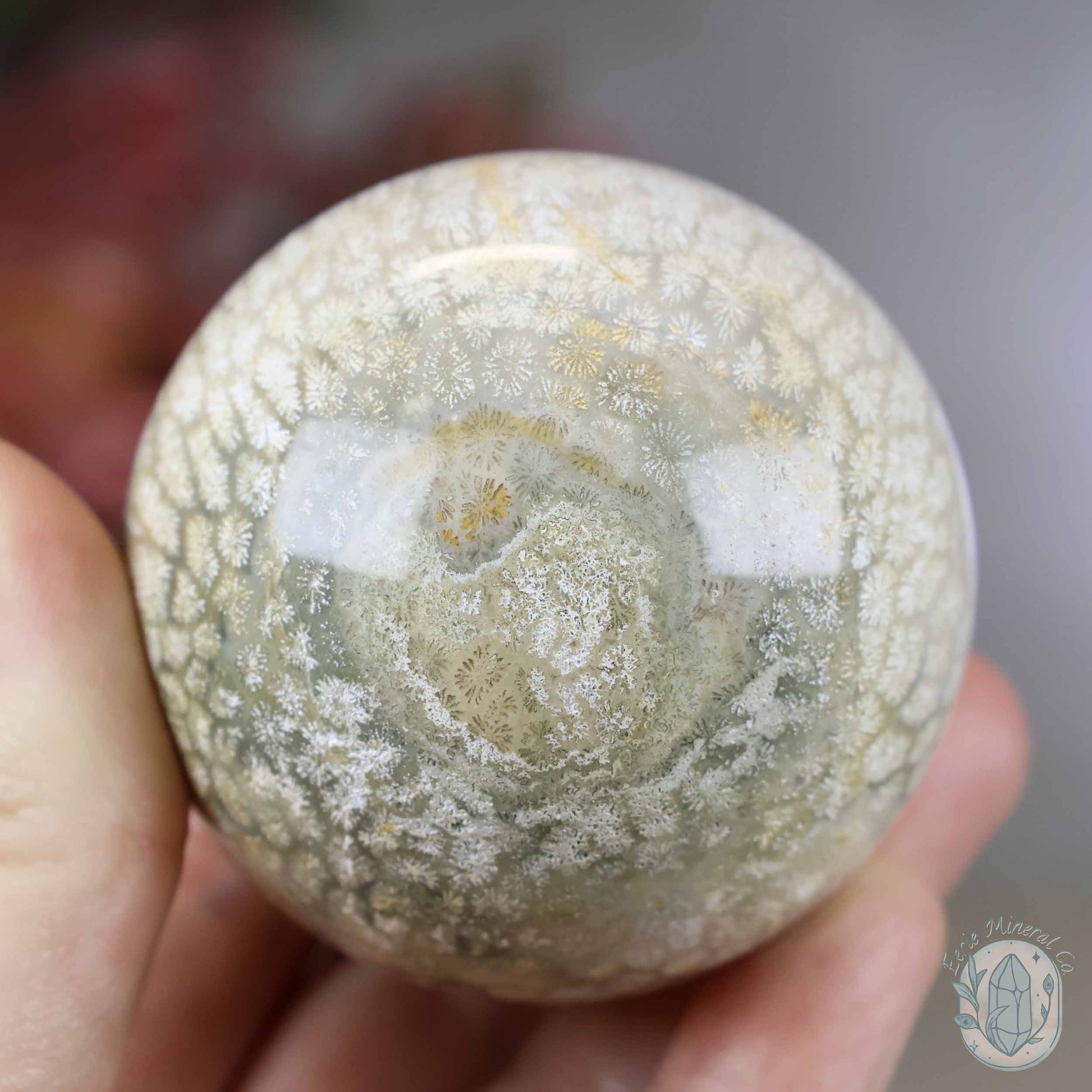 60mm Polished Fossilized Coral "Jade" Sphere