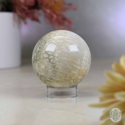 60mm Polished Fossilized Coral "Jade" Sphere