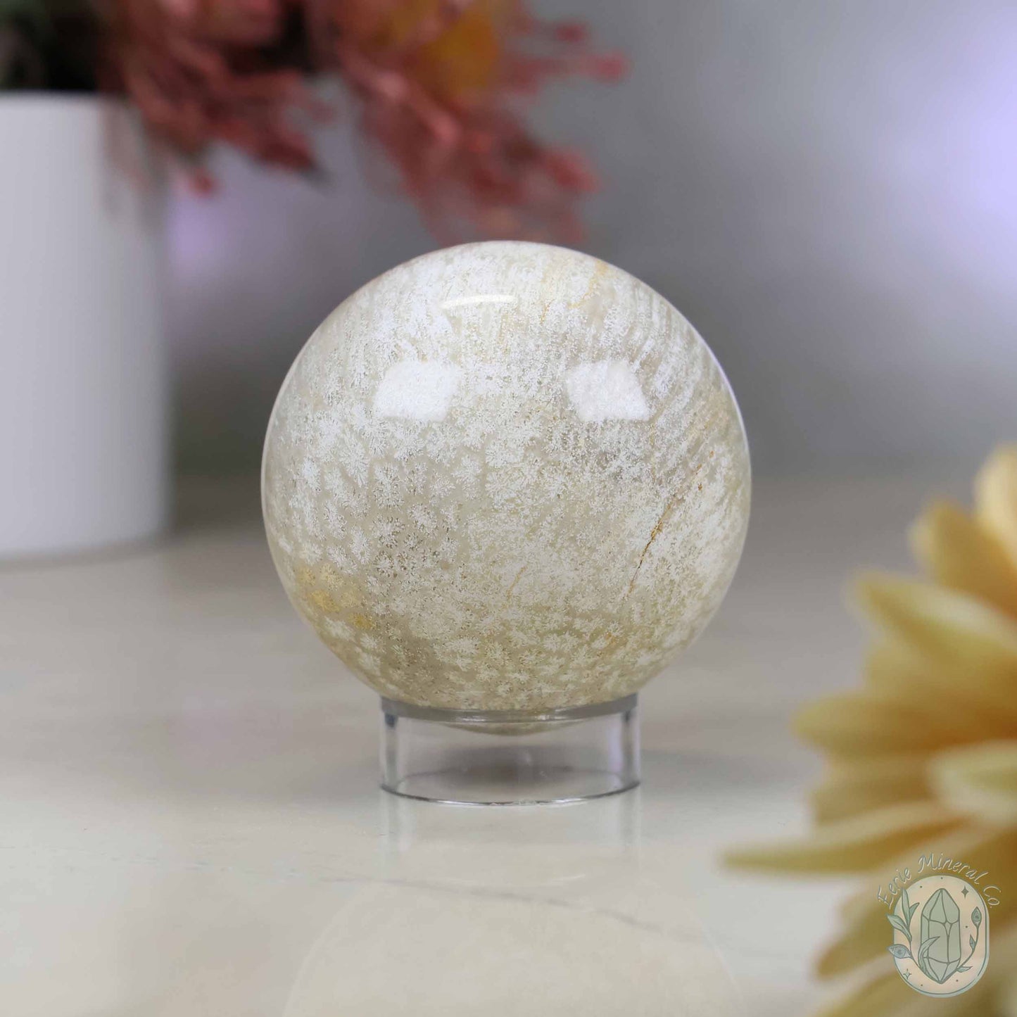60mm Polished Fossilized Coral "Jade" Sphere