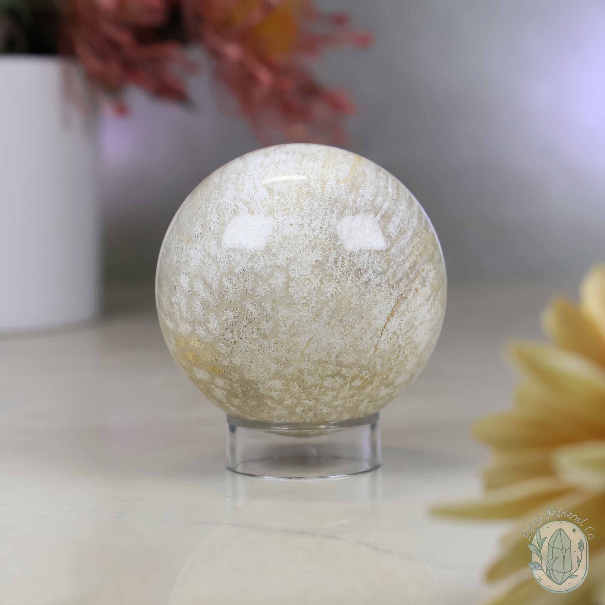 60mm Polished Fossilized Coral "Jade" Sphere