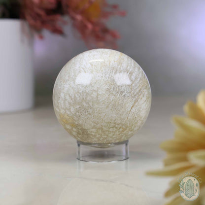 60mm Polished Fossilized Coral "Jade" Sphere