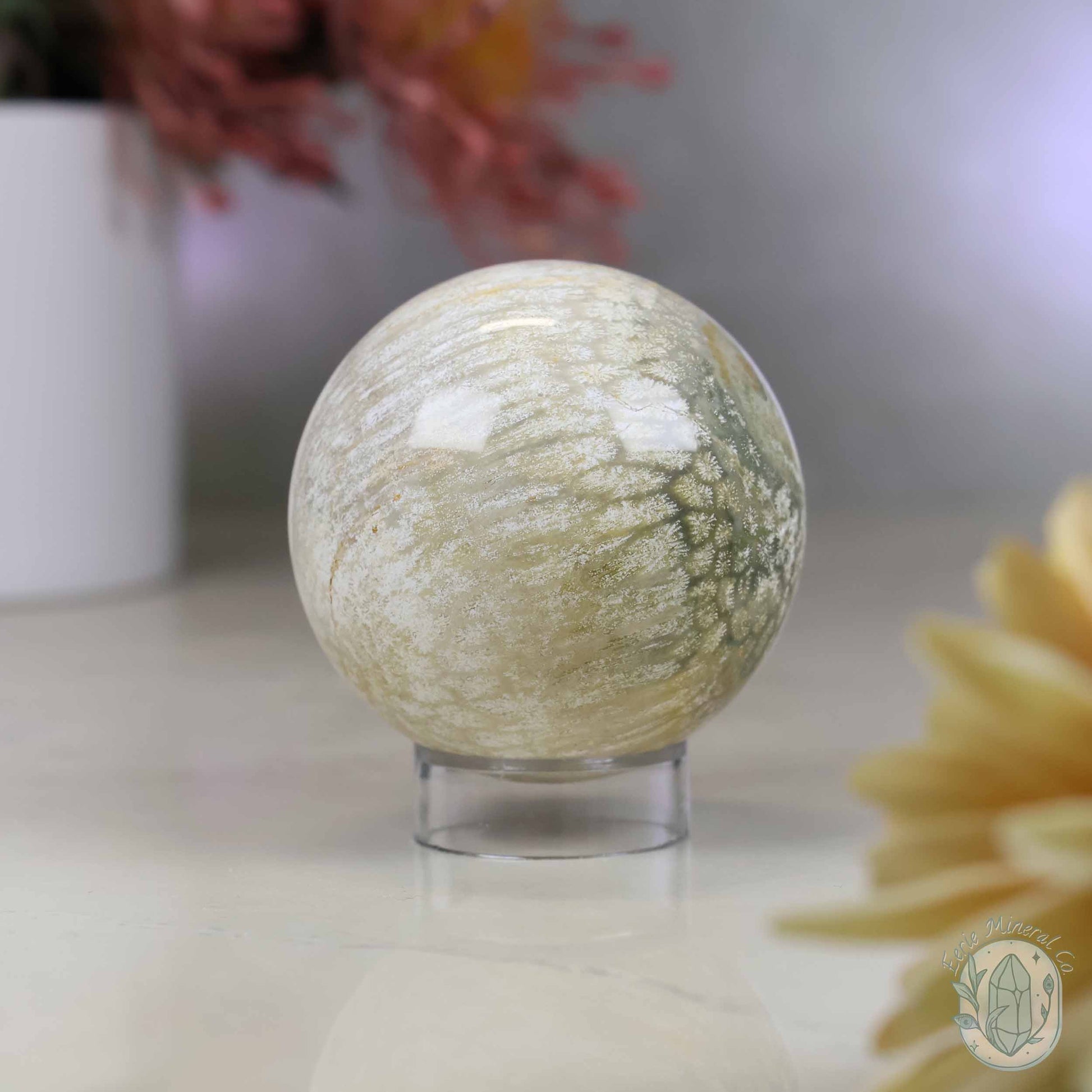 60mm Polished Fossilized Coral "Jade" Sphere
