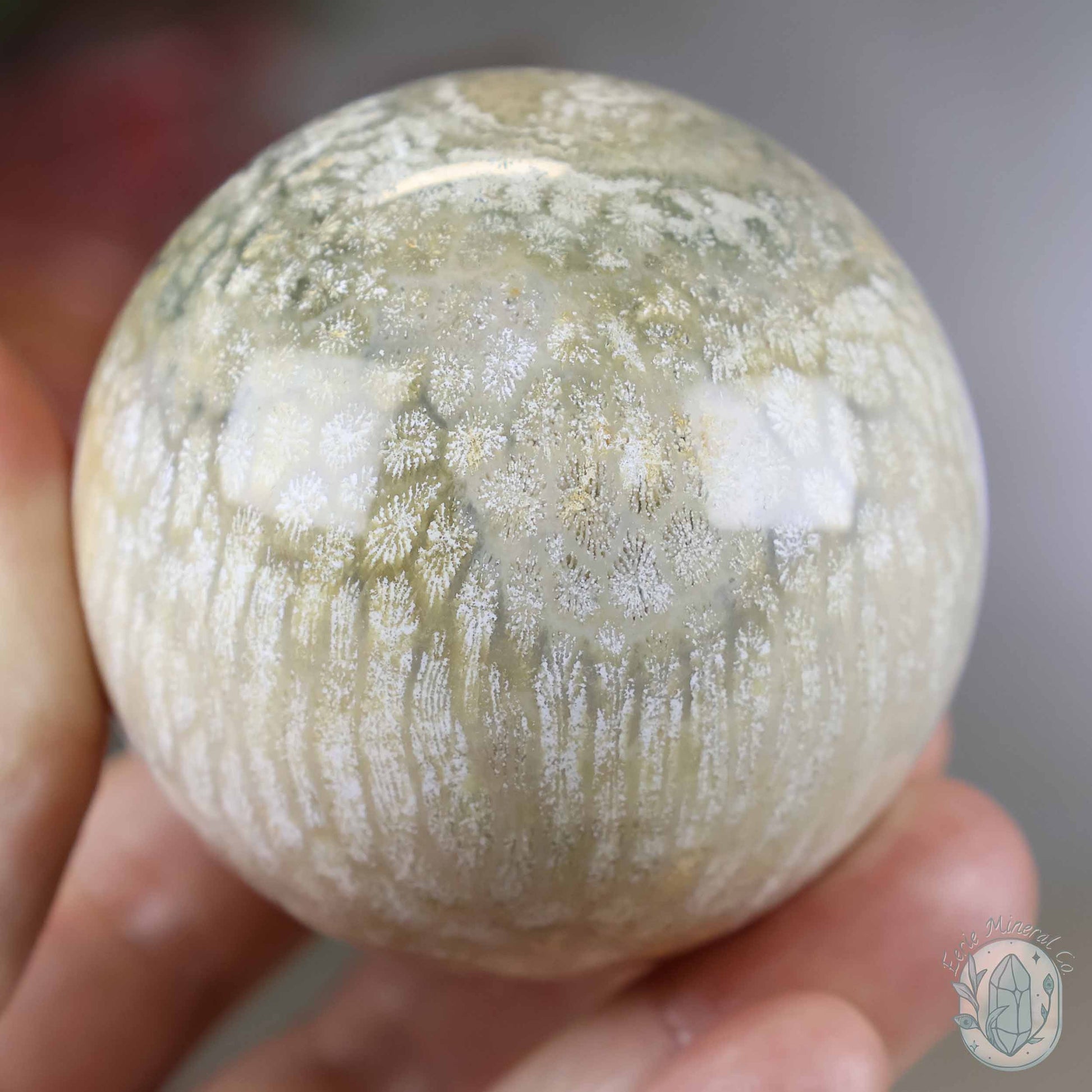 60mm Polished Fossilized Coral "Jade" Sphere