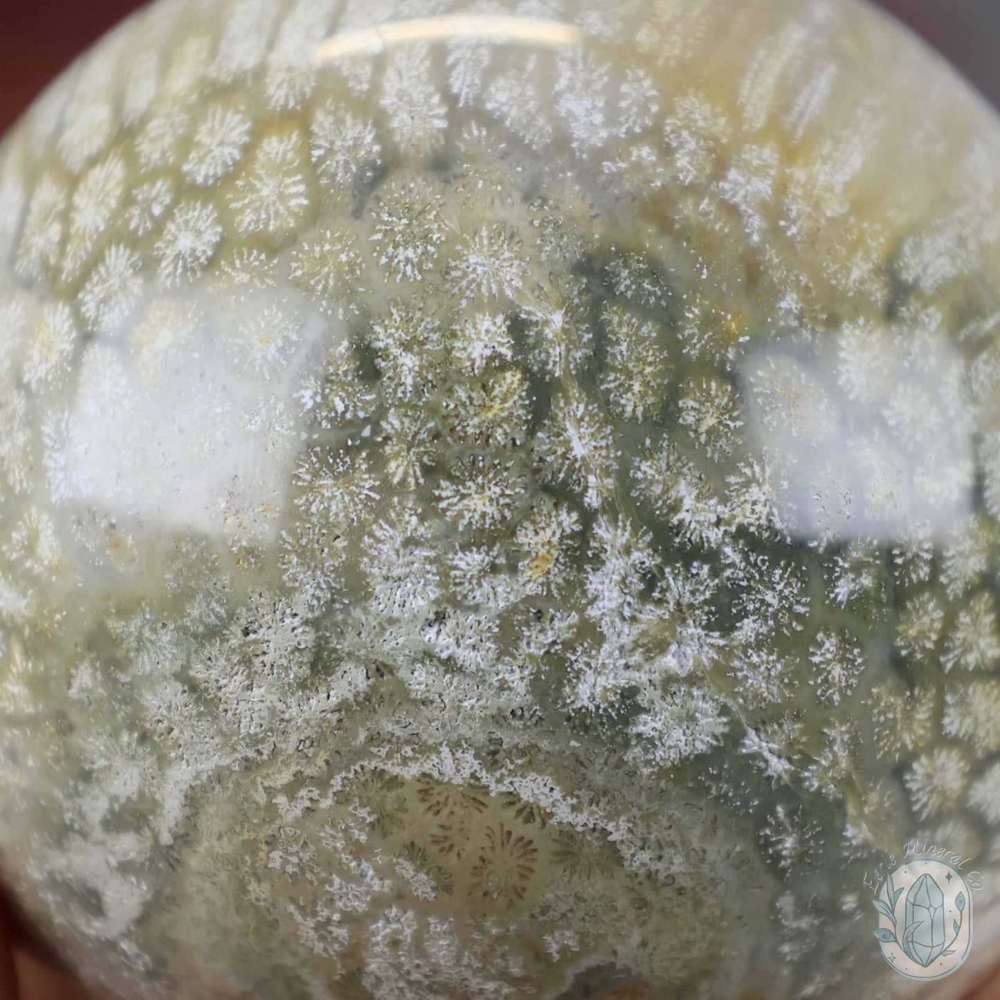 60mm Polished Fossilized Coral "Jade" Sphere