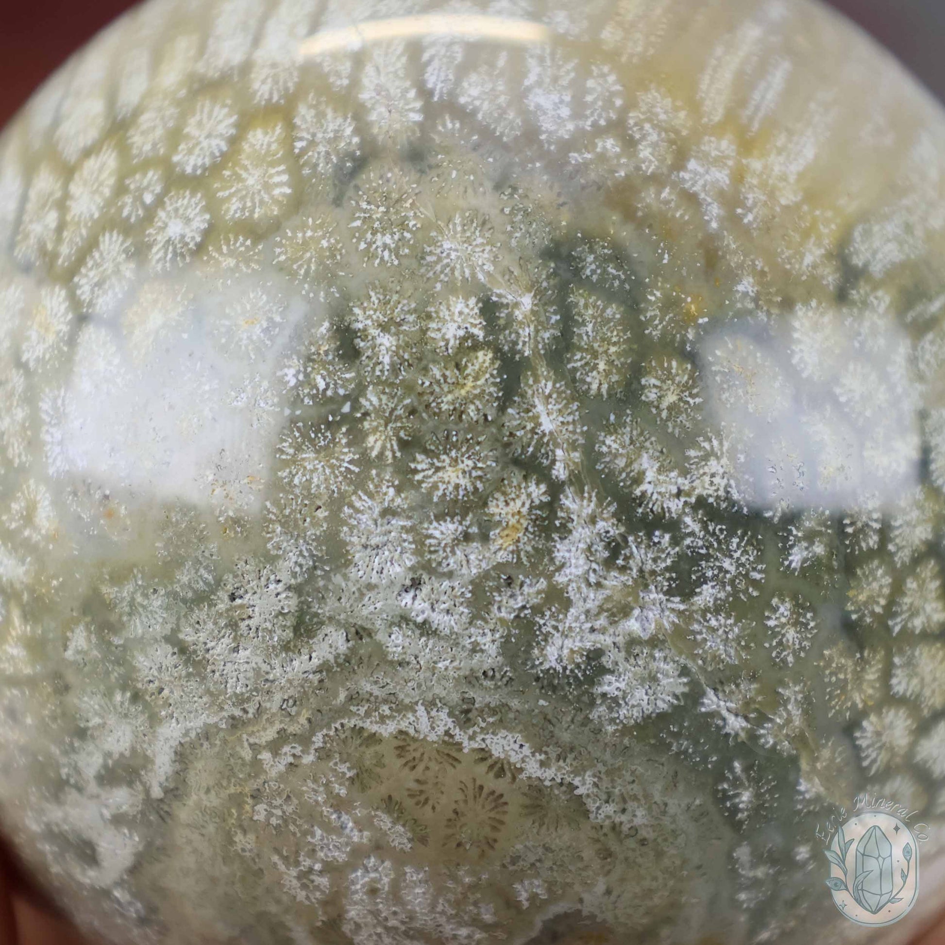 60mm Polished Fossilized Coral "Jade" Sphere