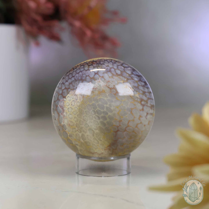 59mm Polished Fossilized Coral "Jade" Sphere