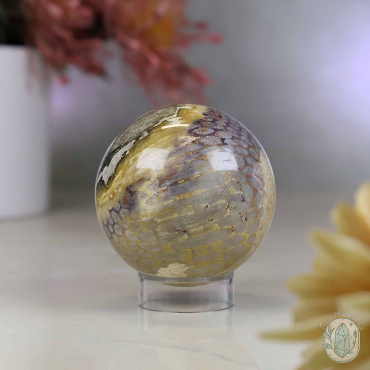 59mm Polished Fossilized Coral "Jade" Sphere