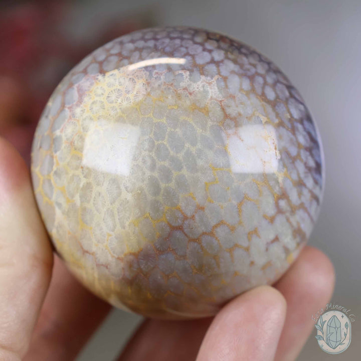 59mm Polished Fossilized Coral "Jade" Sphere