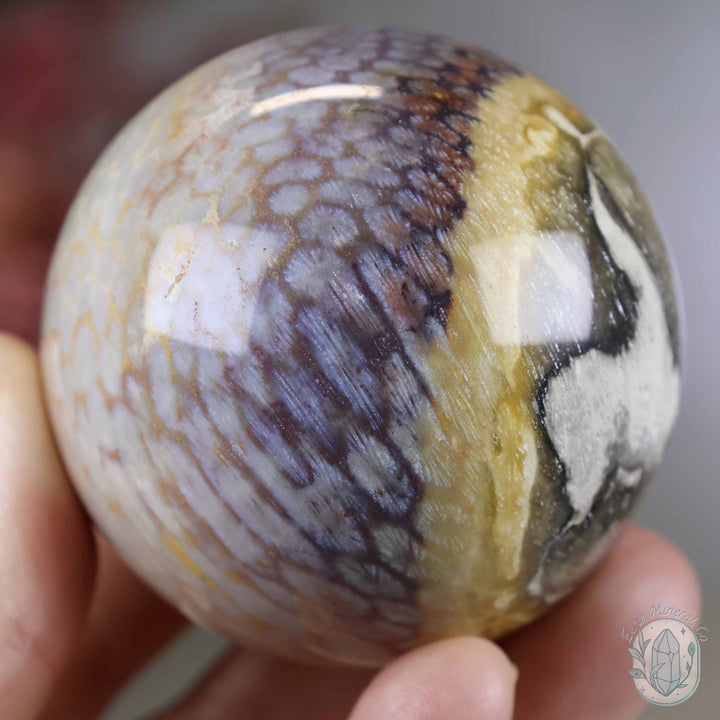 59mm Polished Fossilized Coral "Jade" Sphere