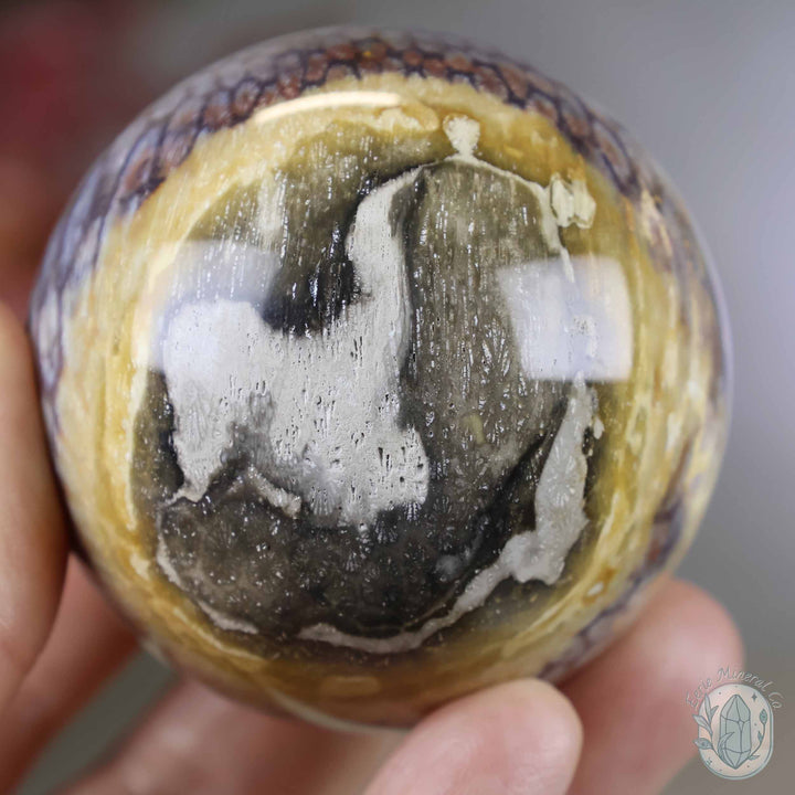 59mm Polished Fossilized Coral "Jade" Sphere