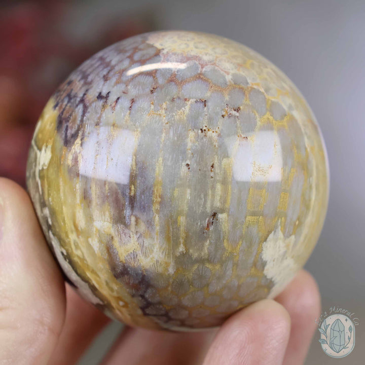 59mm Polished Fossilized Coral "Jade" Sphere