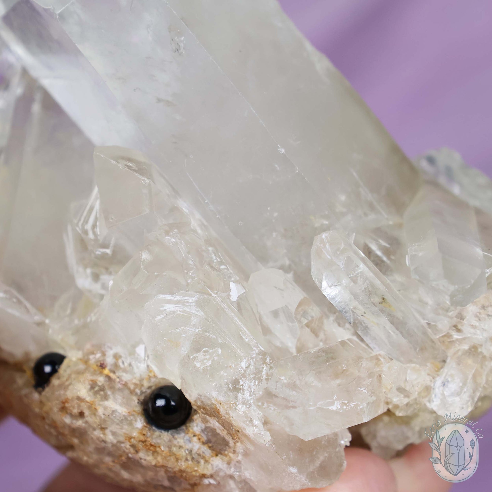 Large Clear Quartz Crystal Cluster Cutie