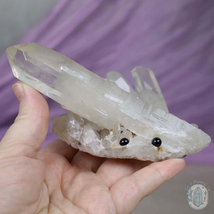 Large Clear Quartz Crystal Cluster Cutie