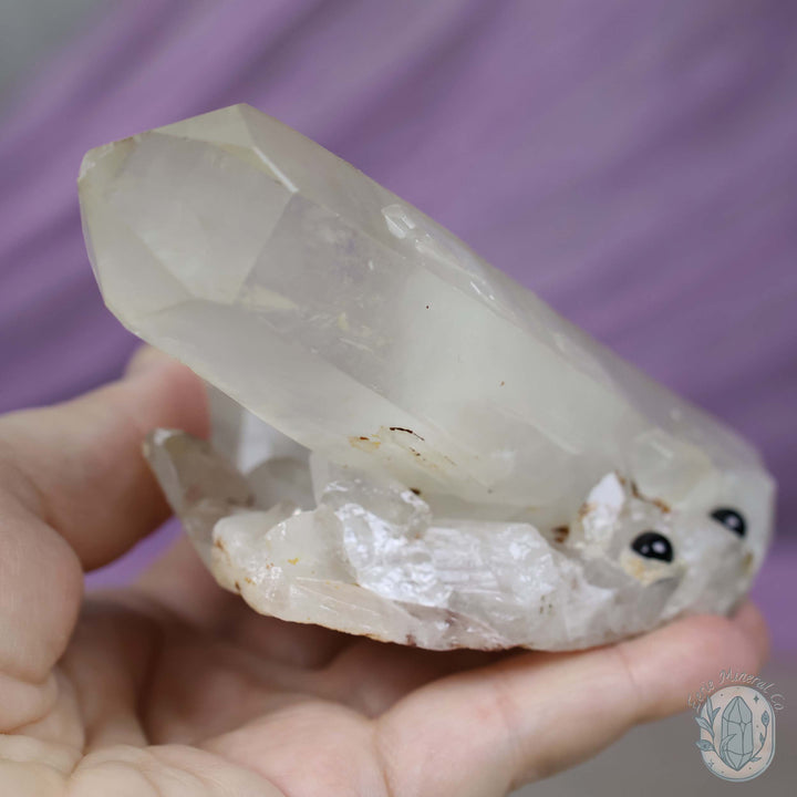 Large Clear Quartz Crystal Cluster Cutie