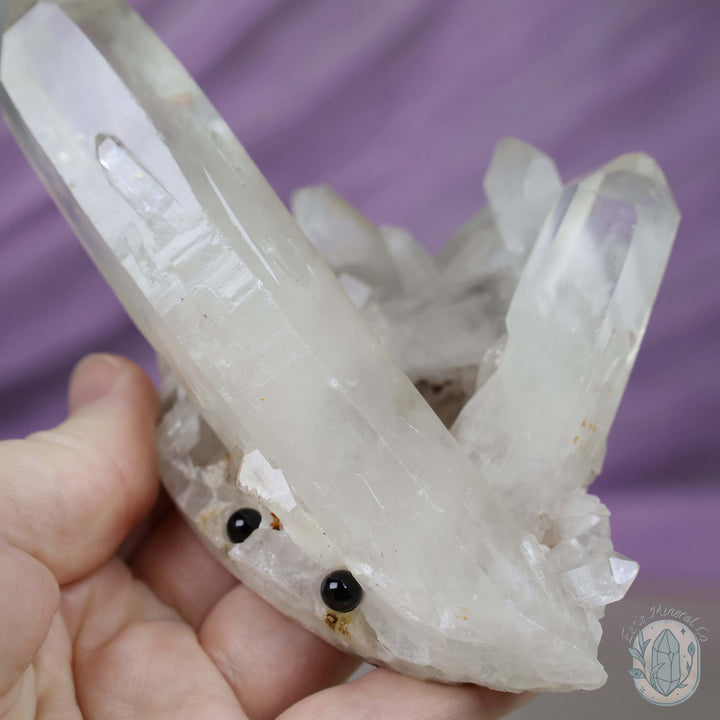 Large Clear Quartz Crystal Cluster Cutie